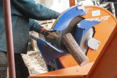 LA-JURASSIENNE-DU-BOIS-COMTOIS_960p_004
