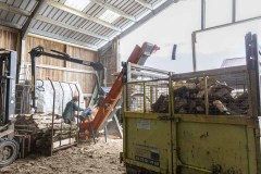 LA-JURASSIENNE-DU-BOIS-COMTOIS_960p_015