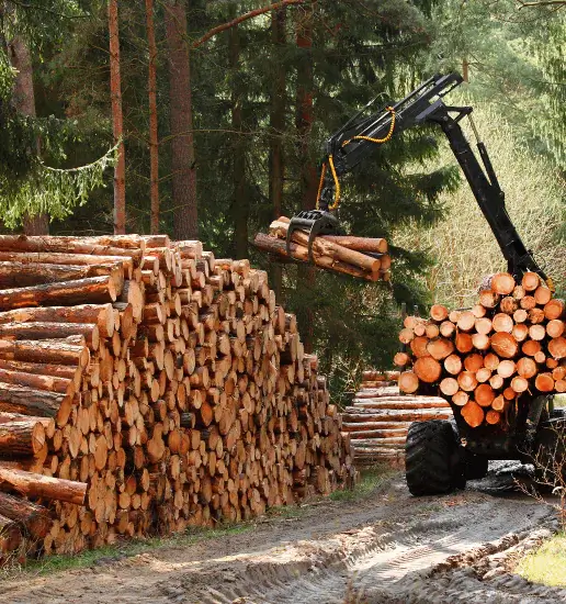 Exploitation Foresti re Dans Le Doubs La Jurassienne Du Bois Comtois